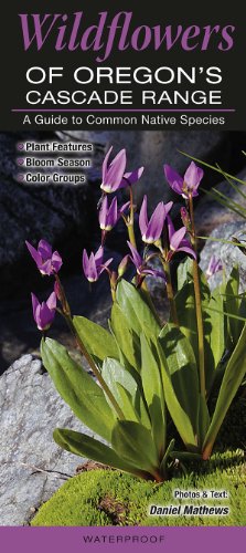 Seller image for Wildflowers of Oregonâs Cascade Range by Daniel Mathews [Pamphlet ] for sale by booksXpress