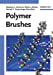 Seller image for Polymer Brushes: Synthesis, Characterization and Applications [Hardcover ] for sale by booksXpress