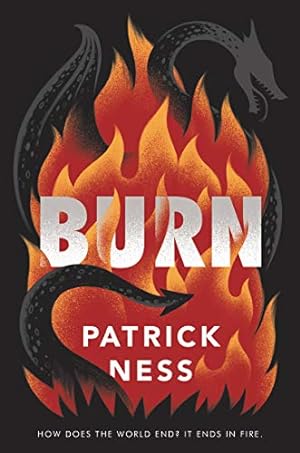 Bild des Verkäufers für Burn zum Verkauf von Reliant Bookstore