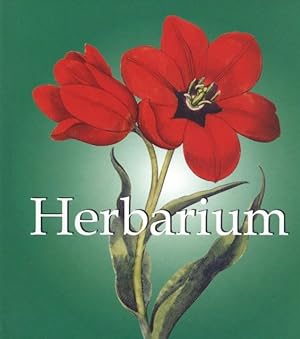 Seller image for Herbarium (Mega Square) for sale by The Anthropologists Closet
