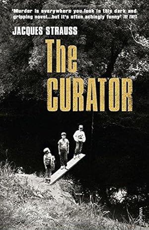 Seller image for The Curator for sale by WeBuyBooks