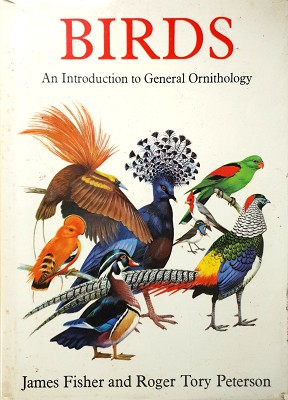 Birds: An Introduction To General Ornithology