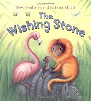 Seller image for The Wishing Stone (Storytime) for sale by WeBuyBooks