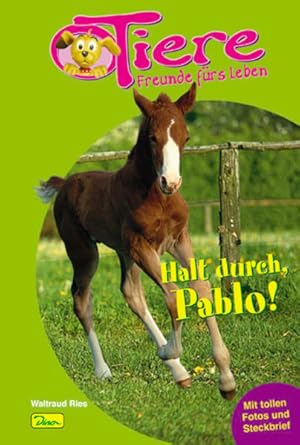 Seller image for Tiere - Freunde frs Leben: Halt durch Pablo! Pablos erstes Abenteuer for sale by Versandantiquariat Felix Mcke