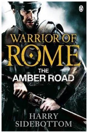 Seller image for Amber Road for sale by GreatBookPricesUK