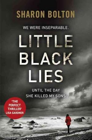 Seller image for Little Black Lies for sale by GreatBookPricesUK