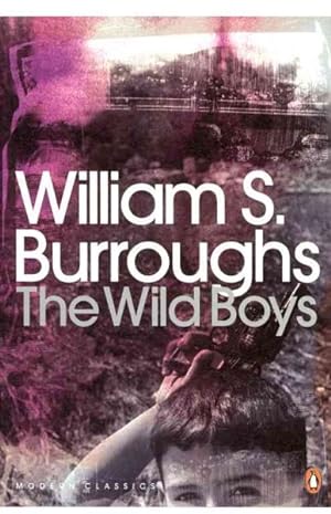 Bild des Verkufers fr Wild Boys : A Book of the Dead zum Verkauf von GreatBookPricesUK