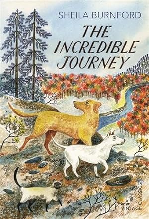 Seller image for Incredible Journey for sale by GreatBookPrices