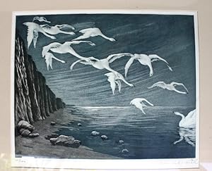 Original coloured aquatint of Swans in flight