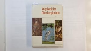 Vogelwelt im Oberbergischen