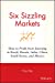 Seller image for Six Sizzling Markets: How to Profit from Investing in Brazil, Russia, India, China, South Korea, and Mexico [Soft Cover ] for sale by booksXpress