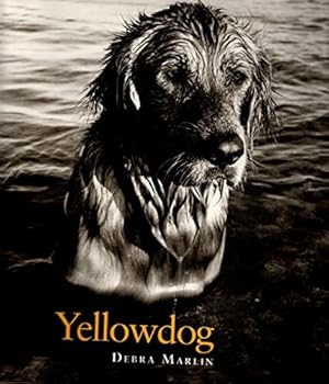 Seller image for Yellowdog for sale by Reliant Bookstore