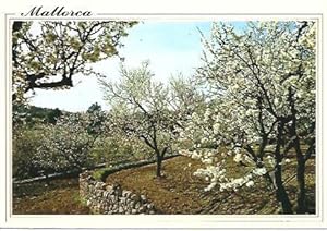 Seller image for POSTAL L05559: Almendros en la isla de Mallorca for sale by EL BOLETIN