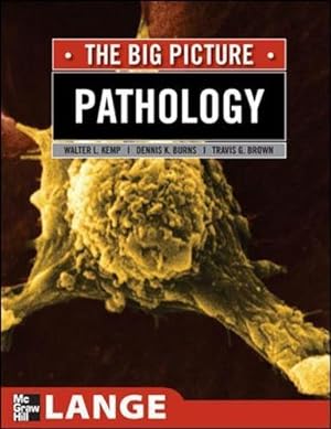 Bild des Verkufers fr Pathology: The Big Picture (LANGE The Big Picture) zum Verkauf von WeBuyBooks