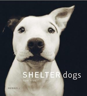 Seller image for Shelter Dogs for sale by WeBuyBooks