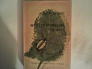 Imagen del vendedor de Welcher Schdling ist das? Schdlinge und Krankheiten an Gemse und Obst. a la venta por ANTIQUARIAT FRDEBUCH Inh.Michael Simon