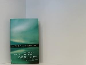 Bild des Verkufers fr Kltere Schichten der Luft: Roman Roman zum Verkauf von Book Broker