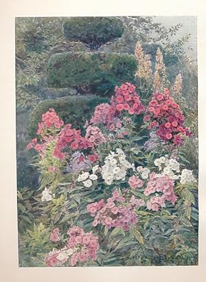 Seller image for Some English Gardens. 1910 for sale by Barter Books Ltd