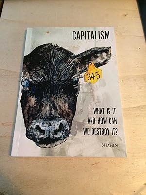 Capitalism. What it is and How can we Destroy it?