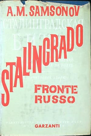 Stalingrado. Fronte russo