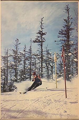[1967 Ski Poster]