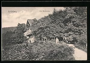 Bild des Verkufers fr Ansichtskarte Heidelberg, Die Molkenkur zum Verkauf von Bartko-Reher