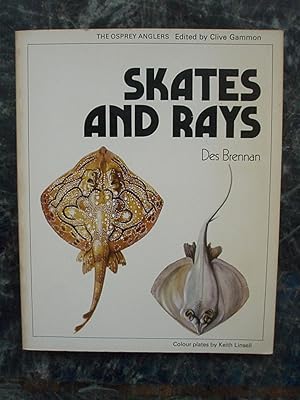 Skates and Rays.