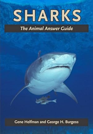 Seller image for Sharks : The Animal Answer Guide for sale by GreatBookPrices