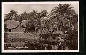 Postcard Venezuela, Eingeborenendorf mit Palmen