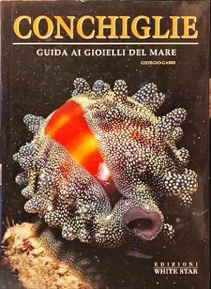 Seller image for Conchiglie. Guida ai gioielli del mare. for sale by Libreria La Fenice di Pietro Freggio