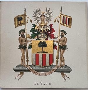 [Heraldic coat of arms] Coloured coat of arms of the De Salis family, family crest, 1 p.