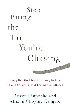 Bild des Verkufers fr Stop Biting the Tail You\ re Chasing: Using Buddhist Mind Training to Free Yourself from Painful Emotional Patterns zum Verkauf von moluna