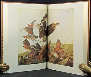 Seller image for THE ORIGINAL WATER-COLOR PAINTINGS BY JOHN JAMES AUDUBON FOR THE BIRDS OF AMERICA, Reproduced in color for the first time from the collection at the New-York Historical Society. Introduction by Marshall B. Davidson for sale by Buddenbrooks, Inc.