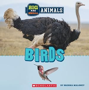 Seller image for Big and Small Birds for sale by GreatBookPrices