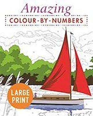 Imagen del vendedor de Amazing Colour-by-Numbers Large Print a la venta por Smartbuy