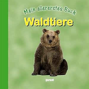 Seller image for Mein allererstes Buch - Waldtiere for sale by Gabis Bcherlager
