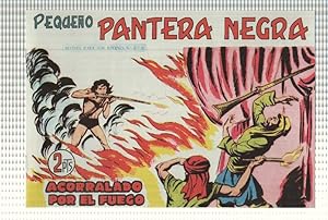 Imagen del vendedor de Facsimil: Pequeo Pantera Negra, numero 268: Acorralado por el fuego a la venta por El Boletin
