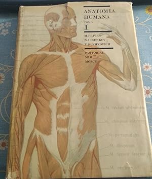 Imagen del vendedor de Anatomia Humana. Tomo I a la venta por Libreria Anticuaria Camino de Santiago