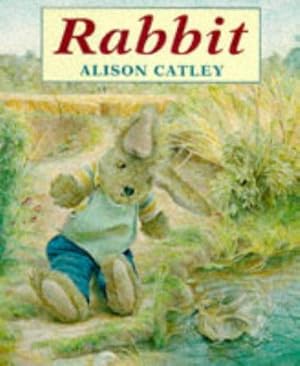 Seller image for Rabbit (Red Fox picture books) for sale by WeBuyBooks