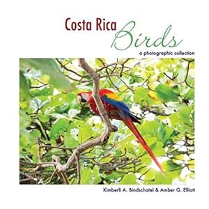 Seller image for Costa Rica Birds : A Photographic Collection for sale by GreatBookPrices
