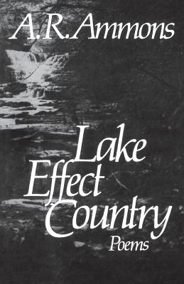 Immagine del venditore per Lake Effect Country: Poems (Paperback or Softback) venduto da BargainBookStores
