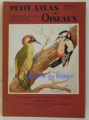 Bild des Verkufers fr Petit Atlas des oiseaux Tome II Passereaux (fin), rolliers, pics, perroquets, rapaces nocturnes zum Verkauf von Librairie du Bassin