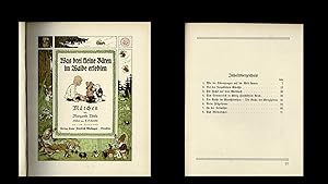 Was drei kleine Bären im Walde erlebten (Originalausgabe 1923)