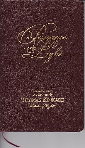 Seller image for Passages of Light for sale by Robinson Street Books, IOBA