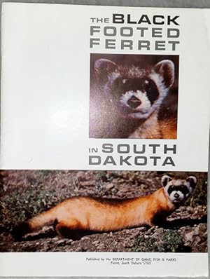 Image du vendeur pour The Black Footed Ferret in South Dakota mis en vente par Lloyd Zimmer, Books and Maps