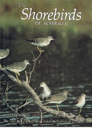 The Shorebirds of Australia: The National Photographic Index of Australian Wildlife