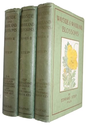 Wayside and Woodland Blossoms A Guide to British Wild Flowers. Series I-III