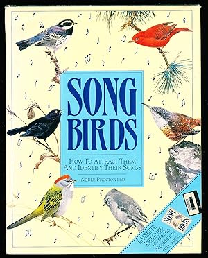 Songbirds: How to Attract Them and Identify Their Songs