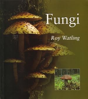 Seller image for Fungi. for sale by Andrew Isles Natural History Books