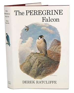 Immagine del venditore per The Peregrine falcon. venduto da Andrew Isles Natural History Books